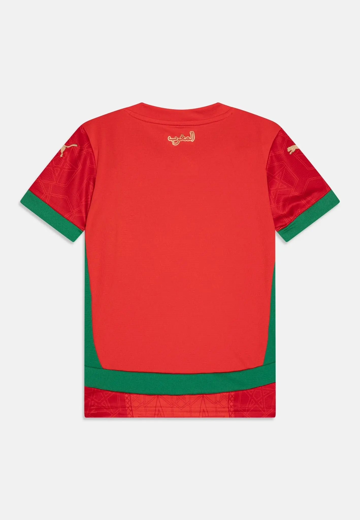 Maillot Maroc saison 2025 - MaillotKing