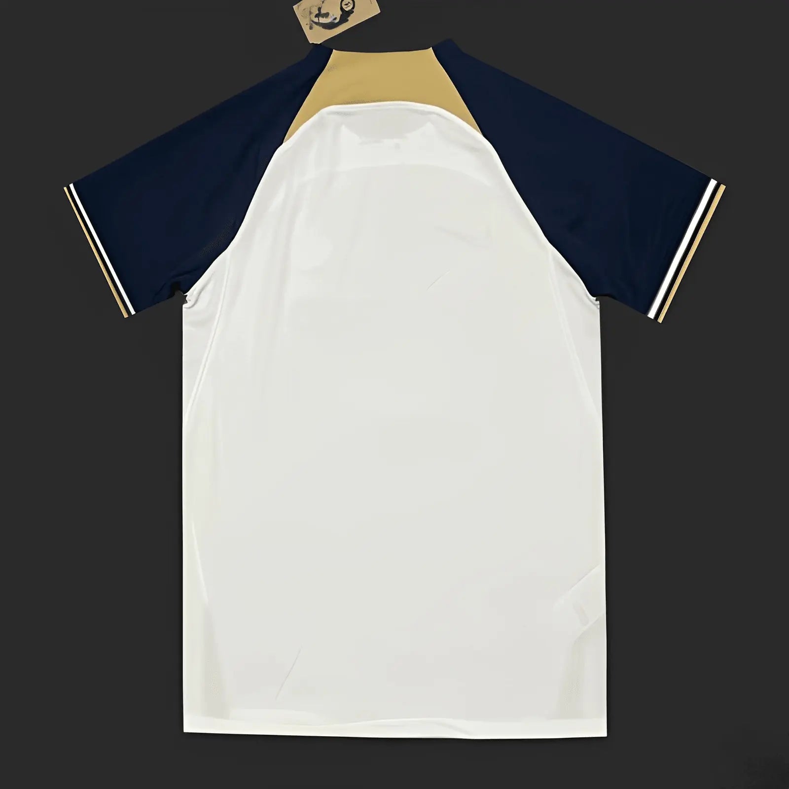 Chelsea maillot entraînement 2023 2024 L'Univers Du Maillot