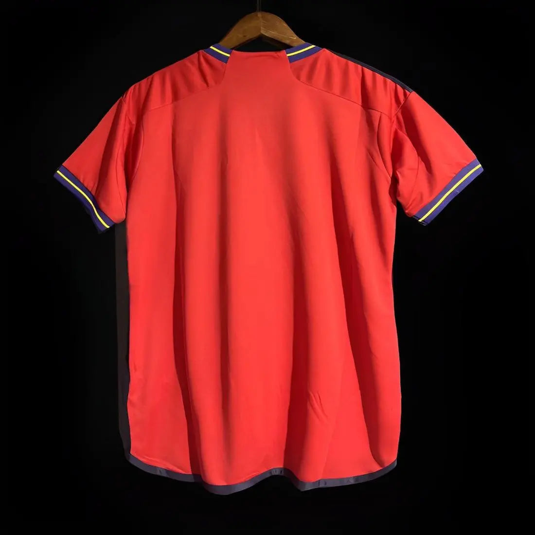 MAILLOT ESPAGNE DOMICILE 2024/25 - MaillotKing